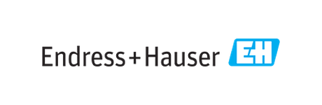 Endress+Hauser — Process Instrumentation manufacturer logo